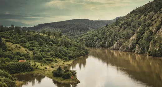 Netherlands: Canals, Art, and Tulips